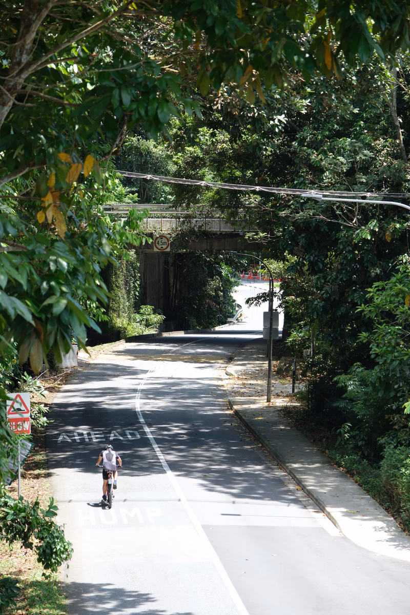 A road with a person riding a bicycle, surrounded by trees and a fence. A sign is visible on the side of the road.