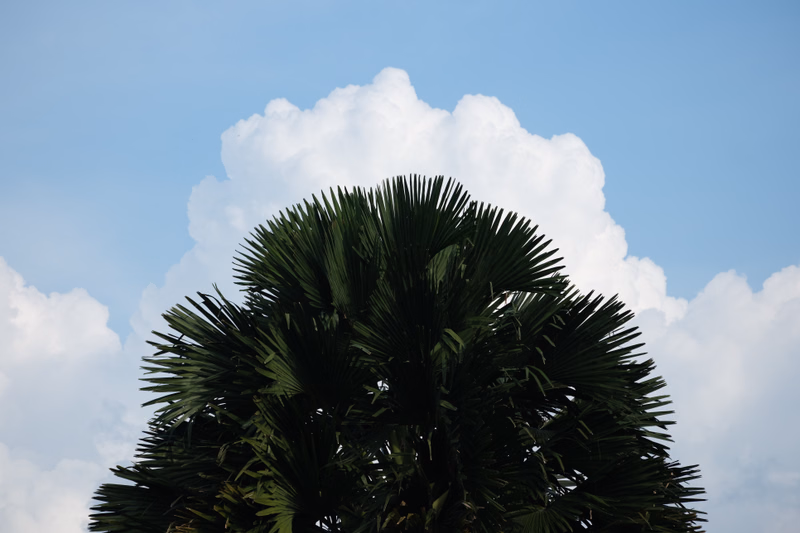 DSCF1949.JPG