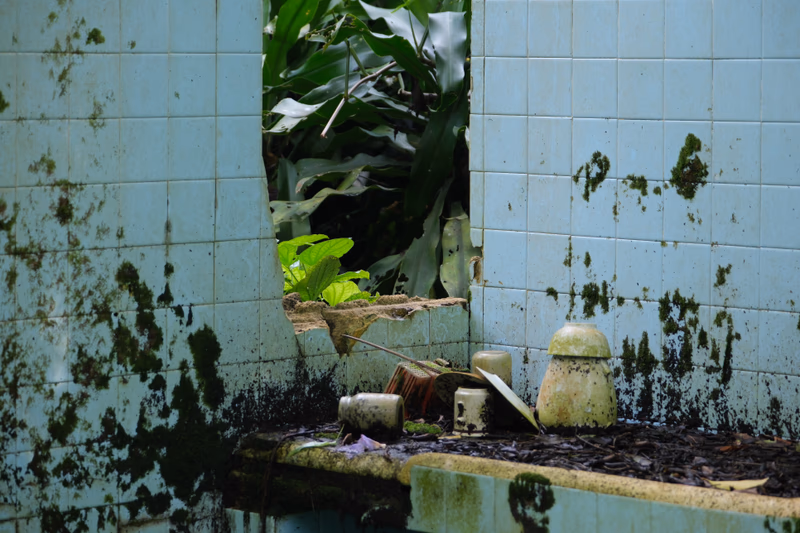A decaying bathroom with a broken tile wall and overgrown plants, surrounded by debris and discarded items.