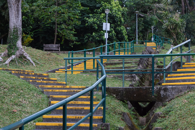 A staircase in a park with yellow steps and green railings, surrounded by trees and a bench.