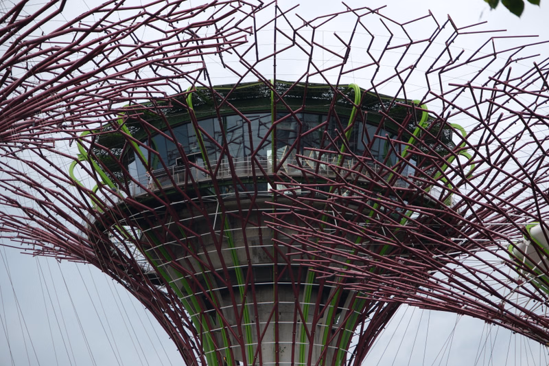 A large, intricate metal sculpture with branching, reddish-brown elements surrounds a modern glass and steel tower structure.