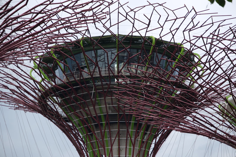 A tree-like structure with a tower-like form