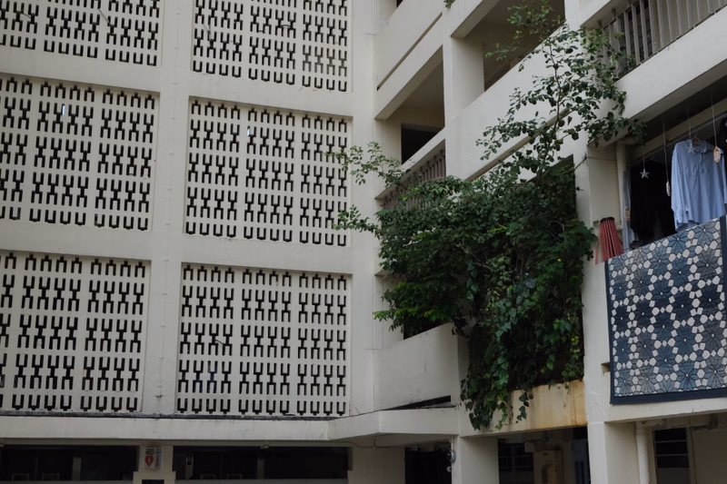 A multi-story school building with numerous windows is partially covered by dense green foliage in an outdoor courtyard setting.