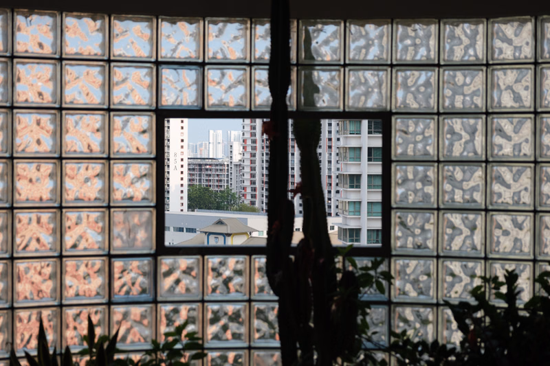 A view through a large, gridded window shows modern apartment buildings in a city setting, partially obscured by foreground foliage.