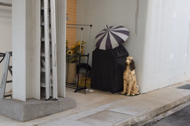 A spotted dog sits next to a black stand holding a striped umbrella outside a white building entrance.