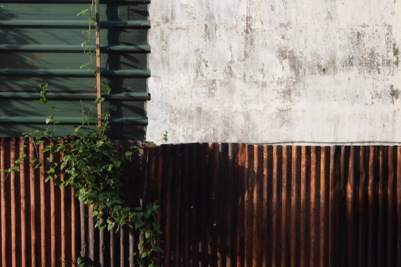 A textured wall made of concrete sits above a corrugated iron fence, with green vines growing up the side.