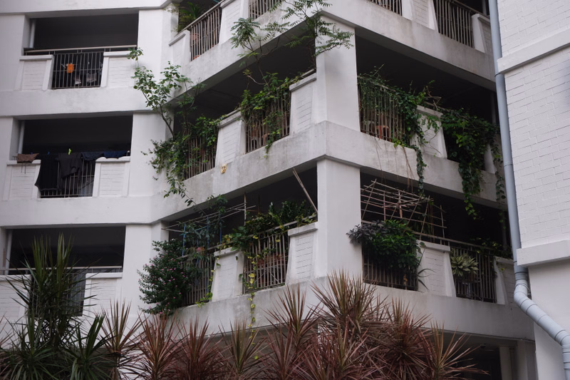 A modern apartment building features multiple balconies heavily overgrown with green vines and foliage.