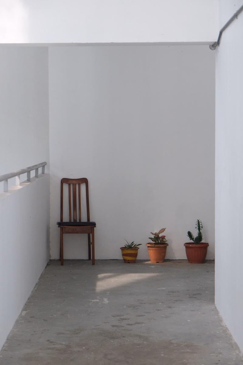 An empty, bright white room with a wooden chair and several potted plants arranged near the far wall.