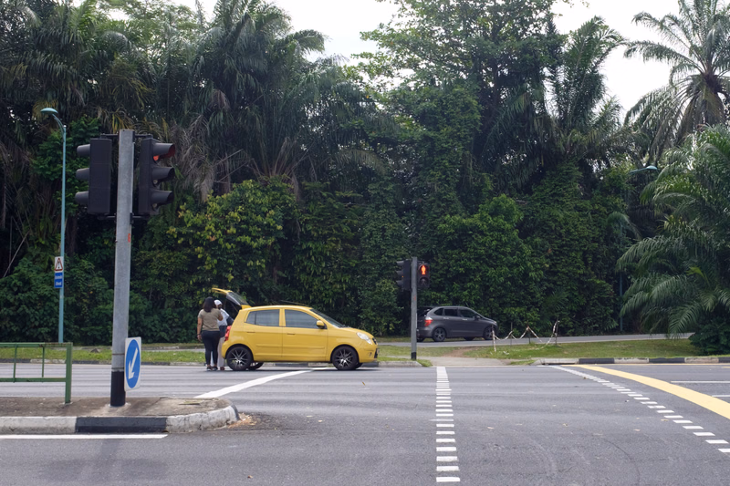 A yellow car is stopped at a traffic light on a paved road lined with dense green trees.