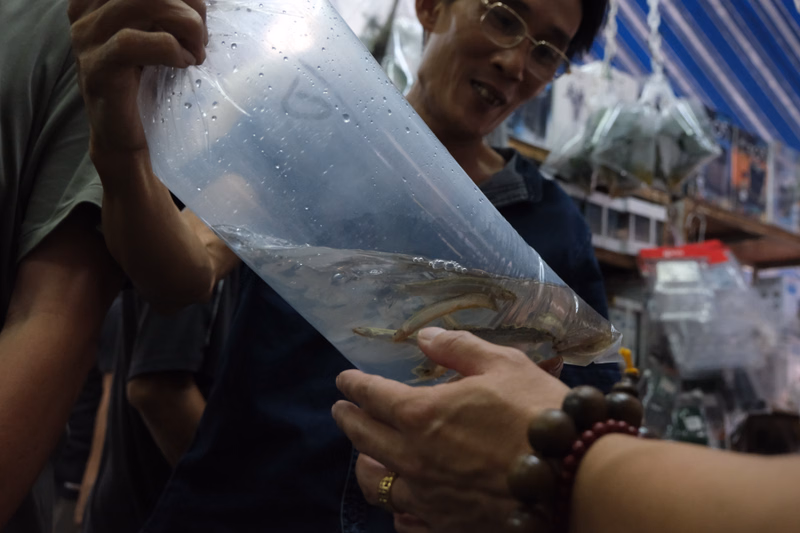 A person holds a clear plastic bag containing a live fish in what appears to be a market setting.
