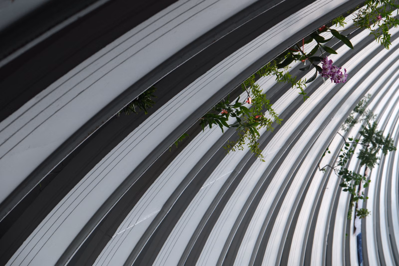 A close-up view of a white, ribbed awning with some green foliage and purple flowers growing beneath it.