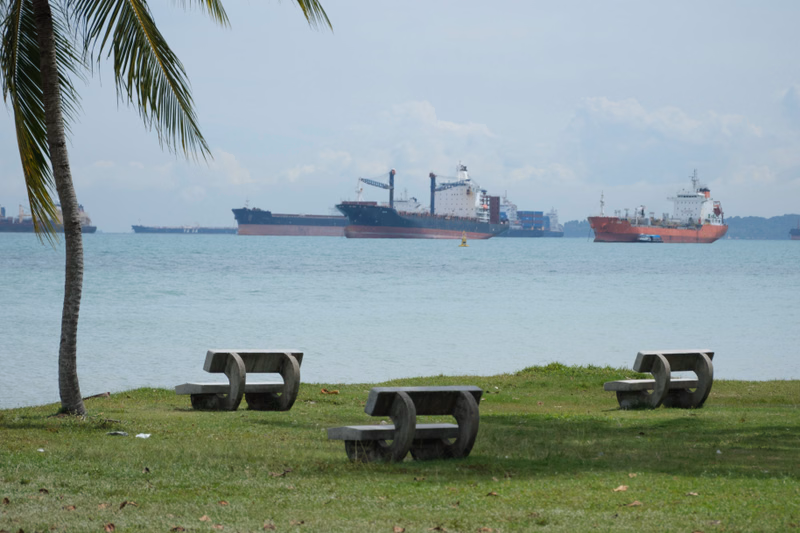 Several large cargo ships are visible on the water under a cloudy sky, with a palm tree in the foreground.