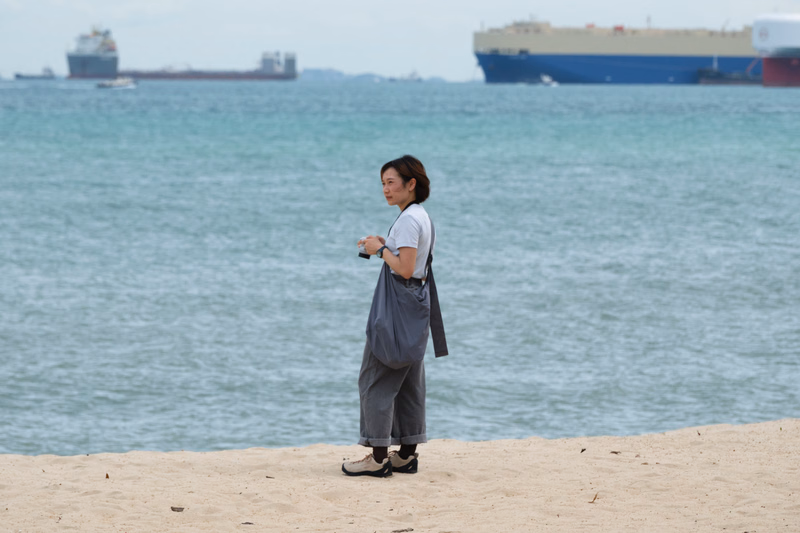 A woman stands on the sand near the ocean, with large cargo ships visible in the background.
