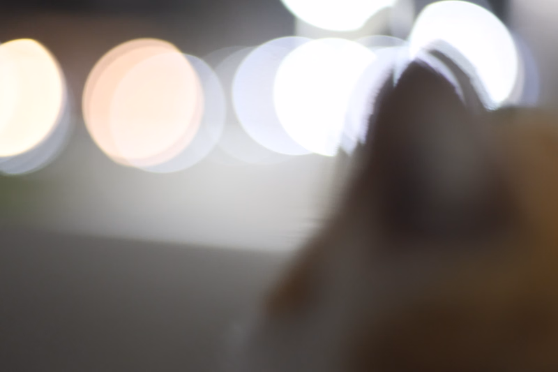 A blurry photograph featuring bright, out-of-focus lights in the background, with a dark, indistinct shape in the foreground.
