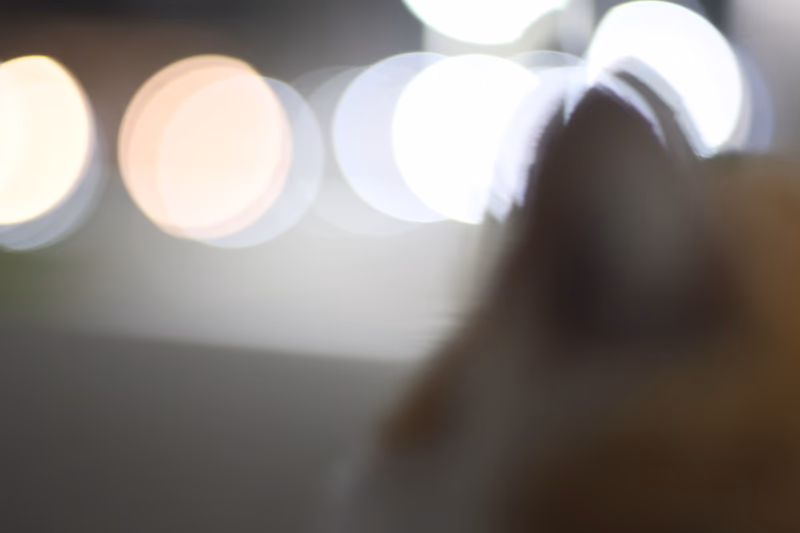 blurred object with bokeh effect