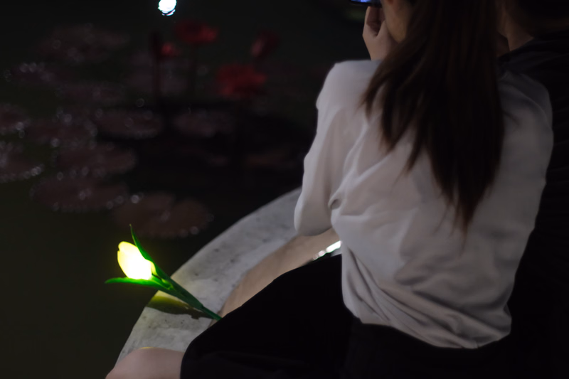 A woman in a white shirt holds a glowing white lily near dark water at night.