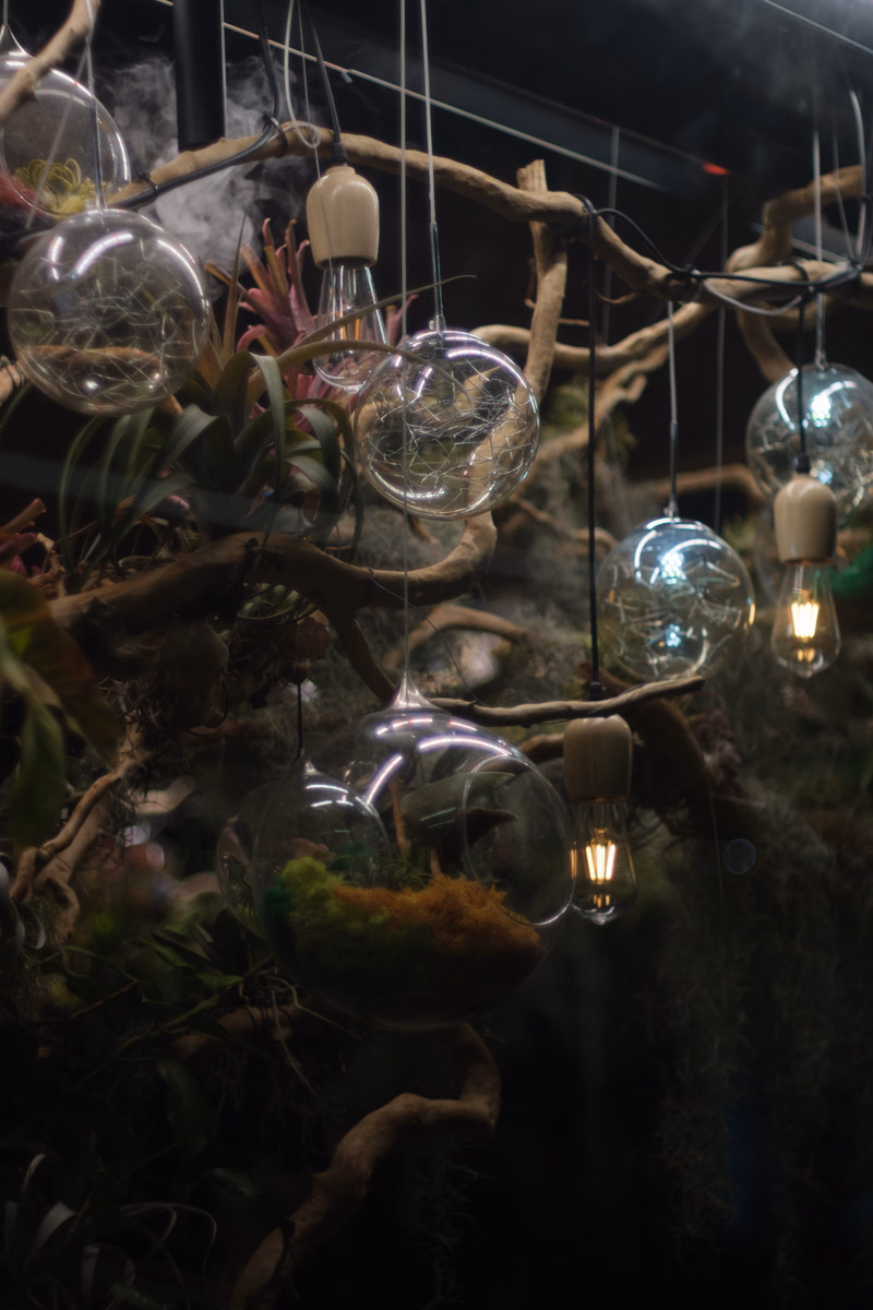 Several glass light bulbs of various sizes hang from dark, gnarled branches amidst lush green plants.