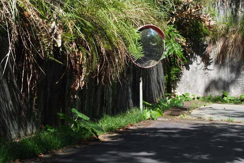 A round, reflective mirror is placed near lush green foliage next to a tall, textured wall bordering a paved path.