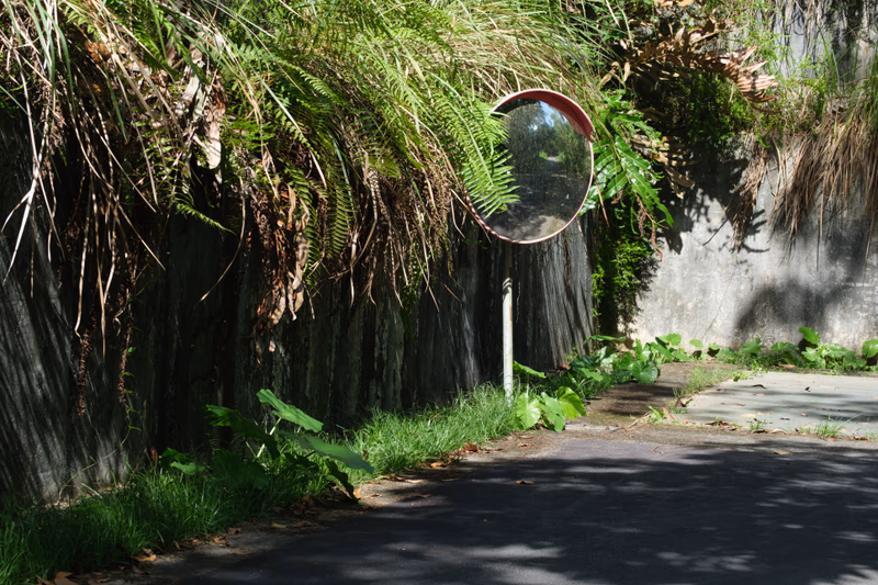 A road with a reflective mirror on the side, surrounded by lush greenery and a wooden fence.