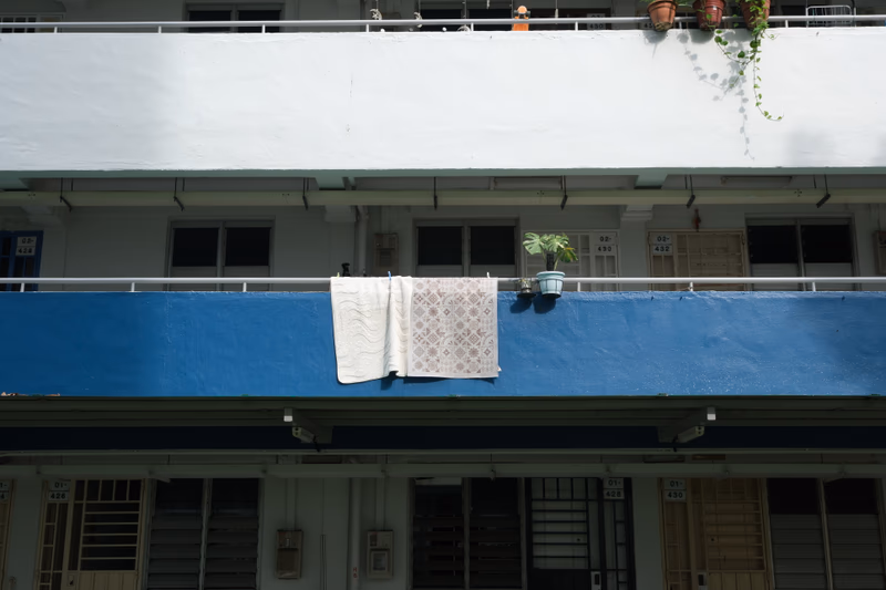 A photograph of a building with a blue curtain, a potted plant, and a book hanging on the wall.