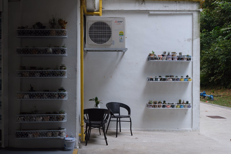 A white wall features several shelves displaying small potted plants, next to an outdoor air conditioner unit.