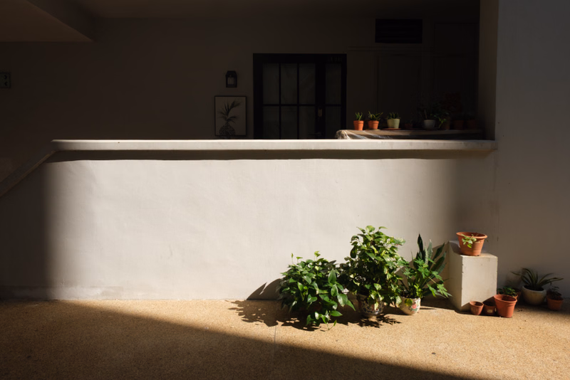 Several potted green plants sit on the sand in front of a low white wall with a dark window in the background.