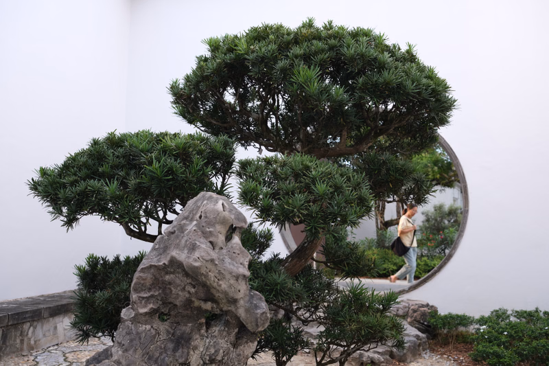 A large bonsai tree is reflected in a circular mirror set outdoors among rocks and greenery.