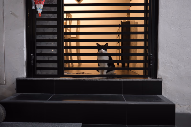 A black and white cat sitting on the windowsill of a dimly lit room.