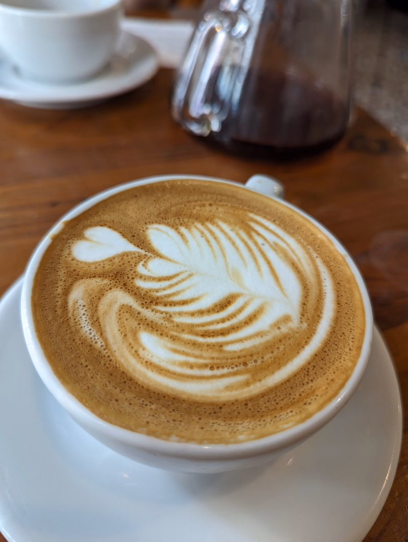 A close-up shot of a latte with detailed leaf-like latte art, resting on a white saucer.