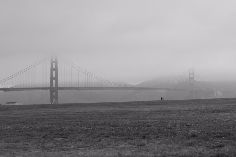The Golden Gate Bridge is visible through heavy fog over a grassy field.