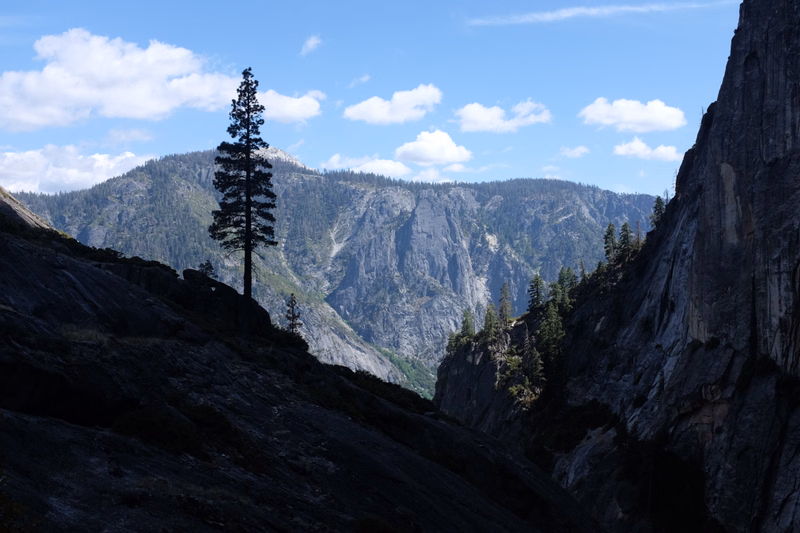 A tall pine tree stands on a dark slope overlooking a vast mountain valley under a blue sky with white clouds.