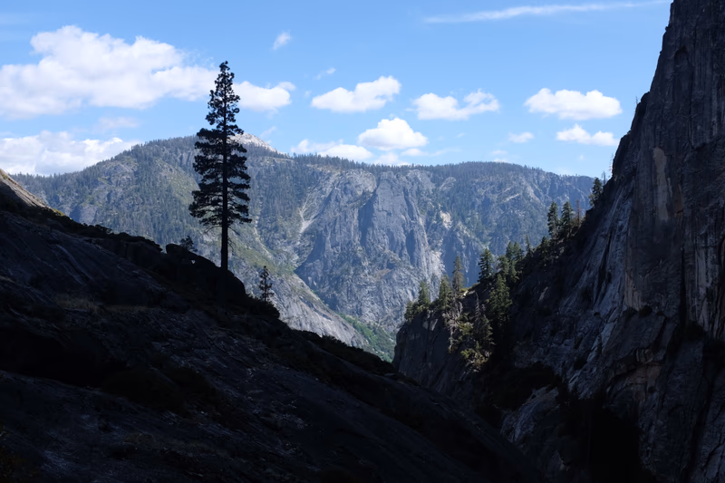 A lone tree stands tall in the valley, surrounded by towering mountains and a serene landscape.