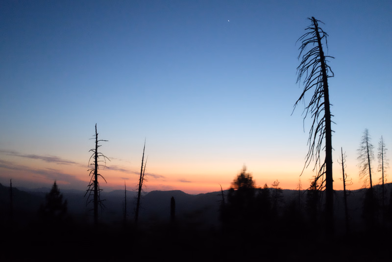 Silhouettes of tall, bare trees against a colorful twilight sky with a faint crescent moon visible.