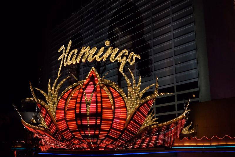A large, illuminated sign spelling "flamingo" is displayed in front of a modern building at night.