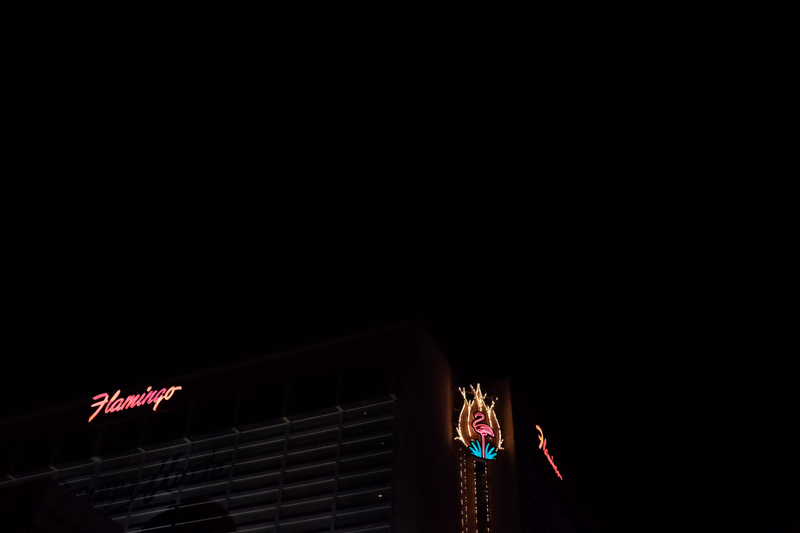 A nighttime view of a building featuring a glowing "Flamingo" sign and illuminated flamingo decorations.