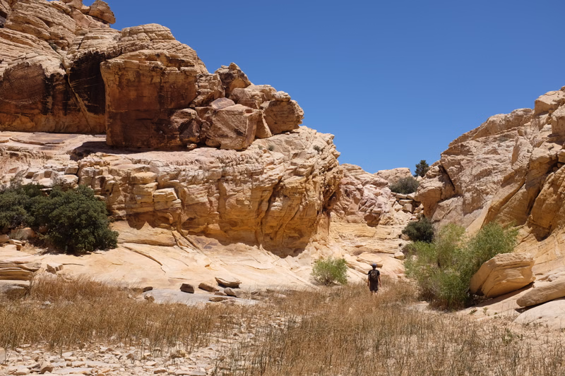 A person walks through a dry, arid canyon surrounded by large, layered rock formations under a clear blue sky.
