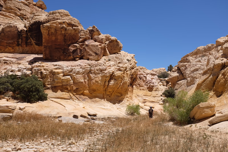 A person walking in a desert canyon with rocky cliffs and sparse vegetation.