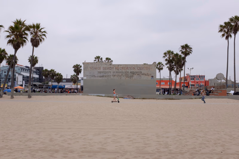 A beach scene with palm trees, a wall with text, and people walking on the sand.