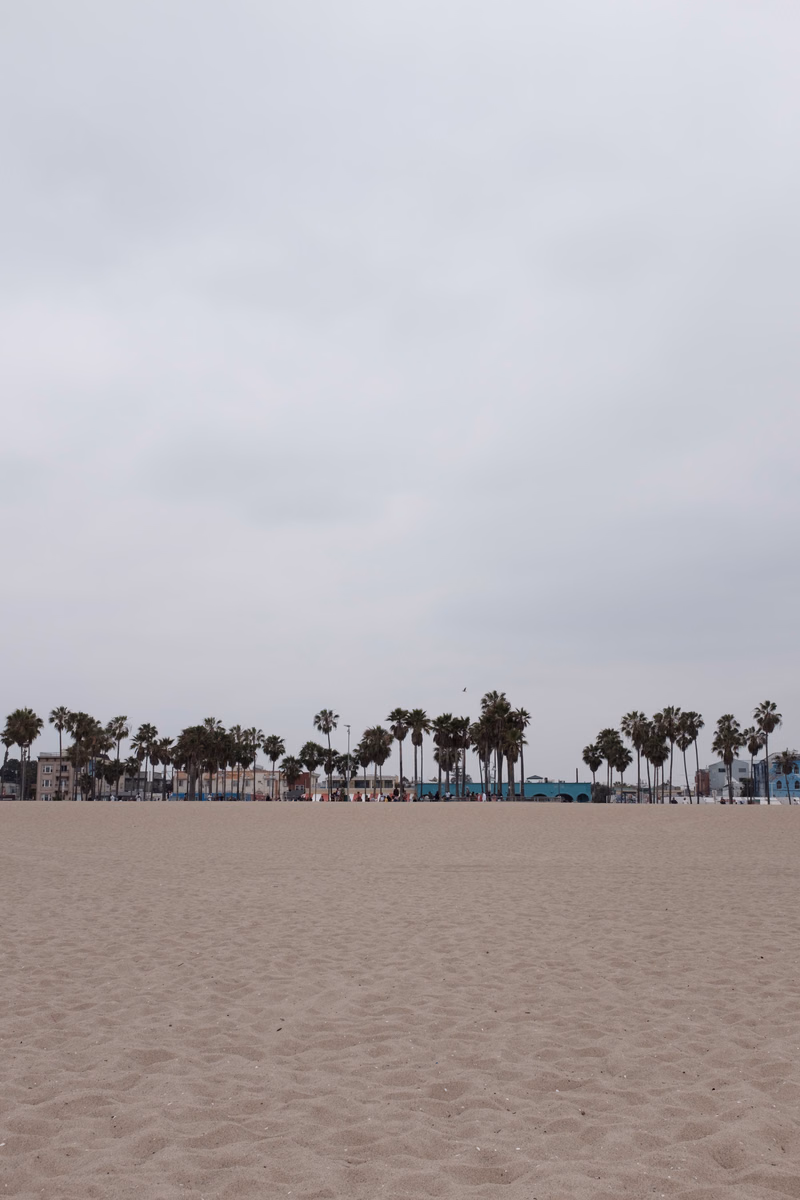 A wide, sandy beach stretches toward a line of palm trees under a bright, overcast sky.