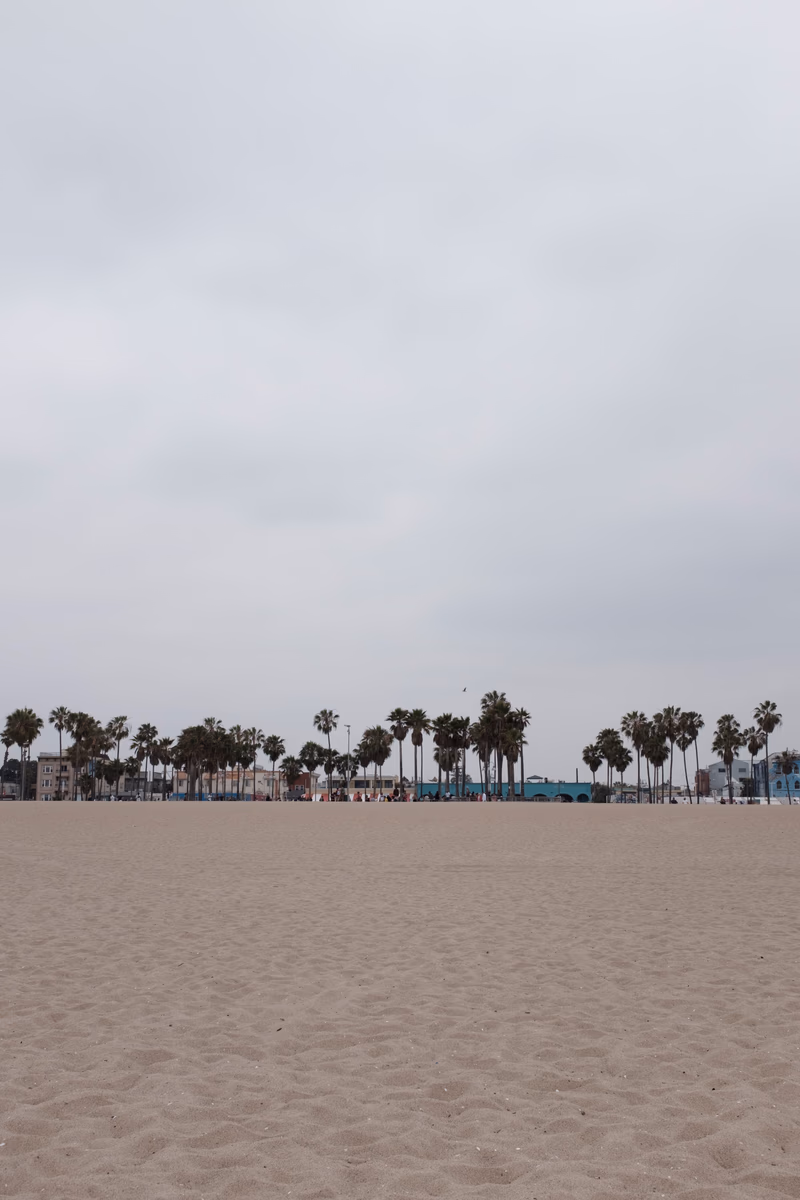 A photo of a beach with palm trees and an overcast sky.